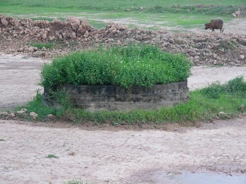 mộ kết phát là gì